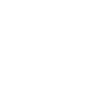 Professional Chimney Flue Installation in Westchase, Florida