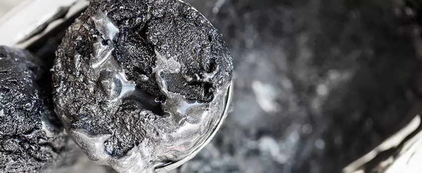 Clogged Dryer Vent Lint Cleaning in Westchase, Florida