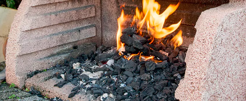 Remove Creosote From Brick in Westchase, FL
