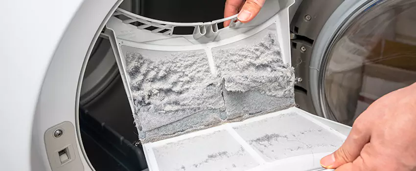 Best Dryer Lint Removal Company in Westchase, Florida
