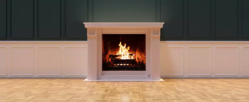 Napoleon Electric Fireplaces Inspection Service in Westchase, Florida