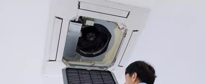 Benefits of Professional Air Duct Cleaning in Westchase, Florida